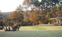 Book Walpole Accommodation Vacations Accommodation Australia Accommodation Australia