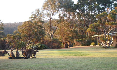Riverside Retreat Chalets, Walpole - Accommodation Australia 0