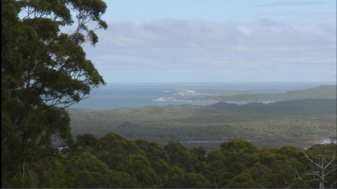Riverside Retreat Chalets, Walpole - Accommodation Australia 30