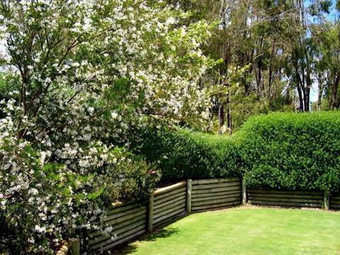 Bayside Villas - Accommodation Australia 34