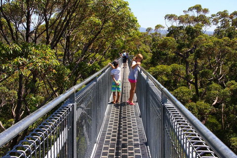 Bayside Villas - Accommodation Australia 16