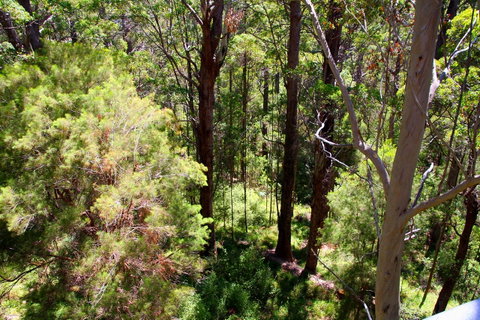 Bayside Villas - Accommodation Australia 5