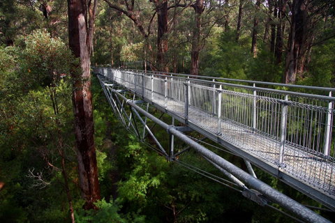 Bayside Villas - Accommodation Australia 11