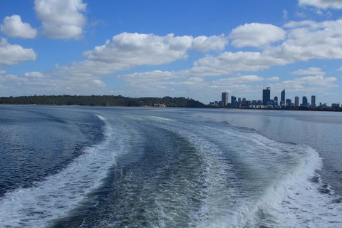 Midgard Cottage - Great Location & Close To Airport - Australia Shopping 33