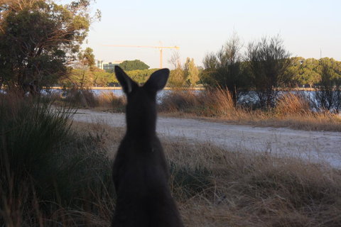 Midgard Cottage - Great Location & Close To Airport - Australia Shopping 37