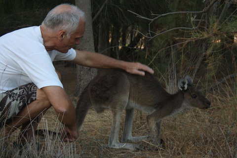 Midgard Cottage - Great Location & Close To Airport - Australia Shopping 39
