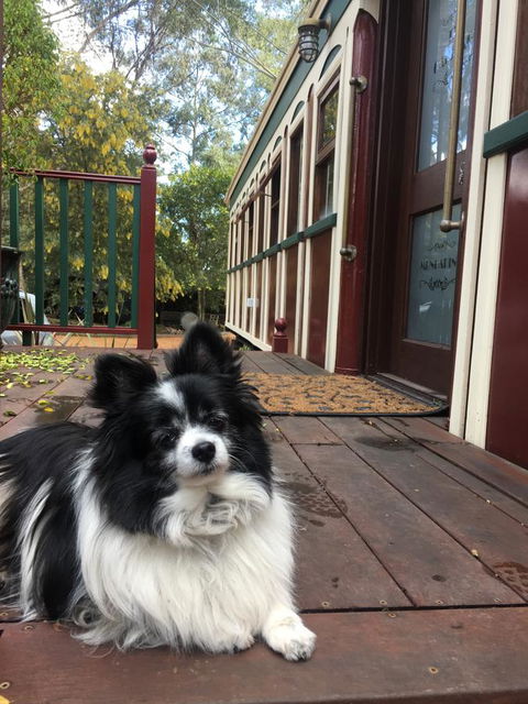 Quiet Escapes Cottages - Accommodation Australia 15