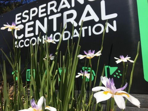 Esperance Central Accommodation - Accommodation Australia 0