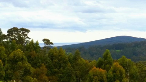 Karri Aura - Accommodation Australia 10