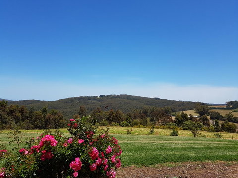 Karri Aura - Accommodation Australia 9