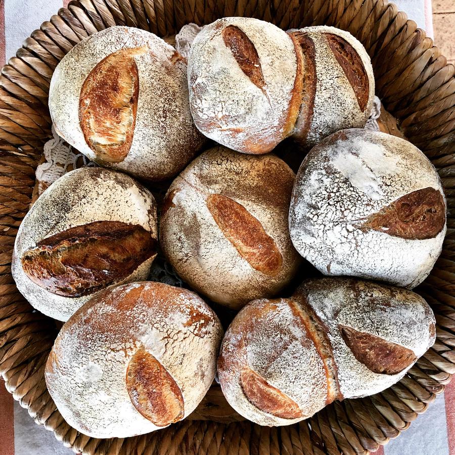 Dayton WA Local Tourism