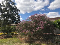 Book Cockburn Central Accommodation Vacations Accommodation Australia Accommodation Australia