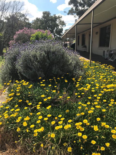 Cockburn Retreat Home æŸæ–¯æ‚ é–’æ°‘å®¿ - Accommodation Australia 3
