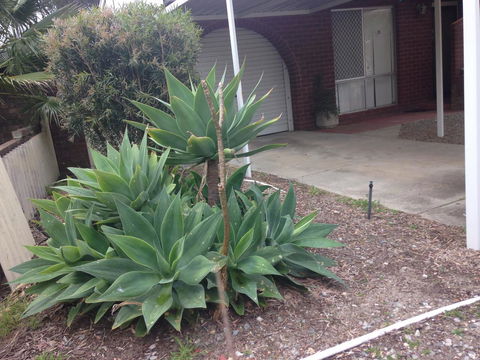 â˜… Stylish Family Home! â˜… - Australia Shopping 2