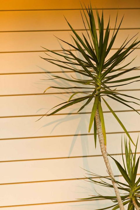 The Billi Resort - Accommodation Australia 44