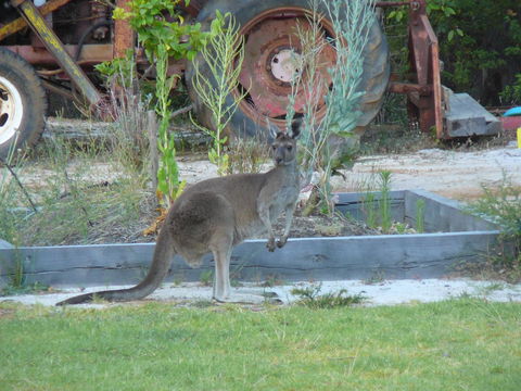Nannup Bush Retreat - Accommodation Australia 38