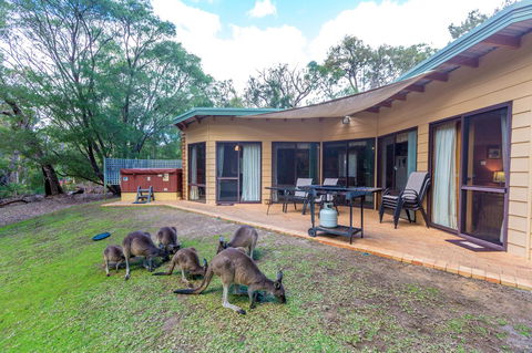 Yelverton Brook Conservation Sanctuary - Accommodation Australia 18