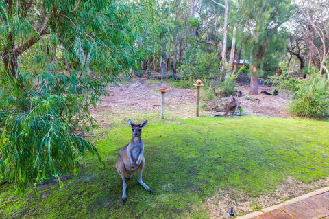 Yelverton Brook Conservation Sanctuary - Accommodation Australia 11