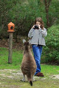 Yelverton Brook Conservation Sanctuary - Accommodation Australia 39