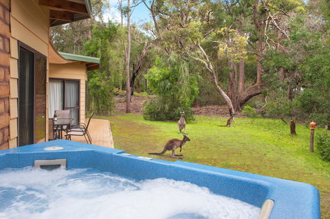 Yelverton Brook Conservation Sanctuary - Accommodation Australia 9