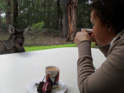 Yelverton Brook Conservation Sanctuary - Accommodation Australia 44
