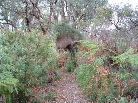 Yelverton Brook Conservation Sanctuary - Accommodation Australia 41