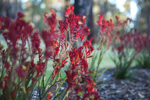 Amaroo Retreat & Spa - Accommodation Australia 16