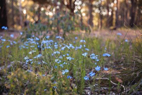 Amaroo Retreat & Spa - Accommodation Australia 15