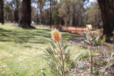 Amaroo Retreat & Spa - Accommodation Australia 19