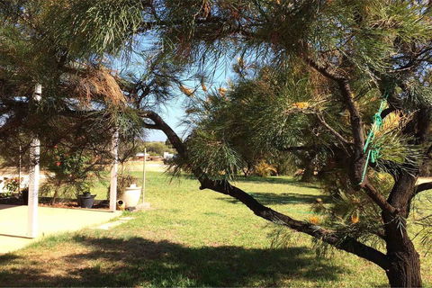 Ocean View Homestead - Accommodation Australia 23