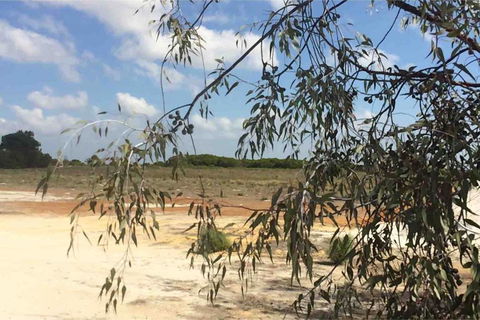 Ocean View Homestead - Accommodation Australia 16
