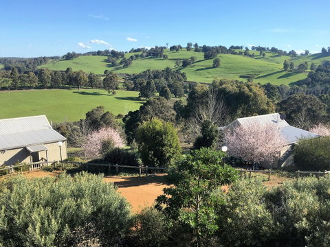 Balingup Highview Chalets - Accommodation Australia 5