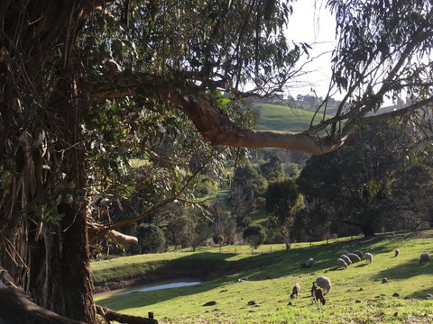 Balingup Highview Chalets - Accommodation Australia 13