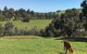 Balingup Highview Chalets - thumb 23