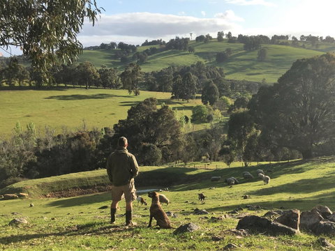 Balingup Highview Chalets - Accommodation Australia 27