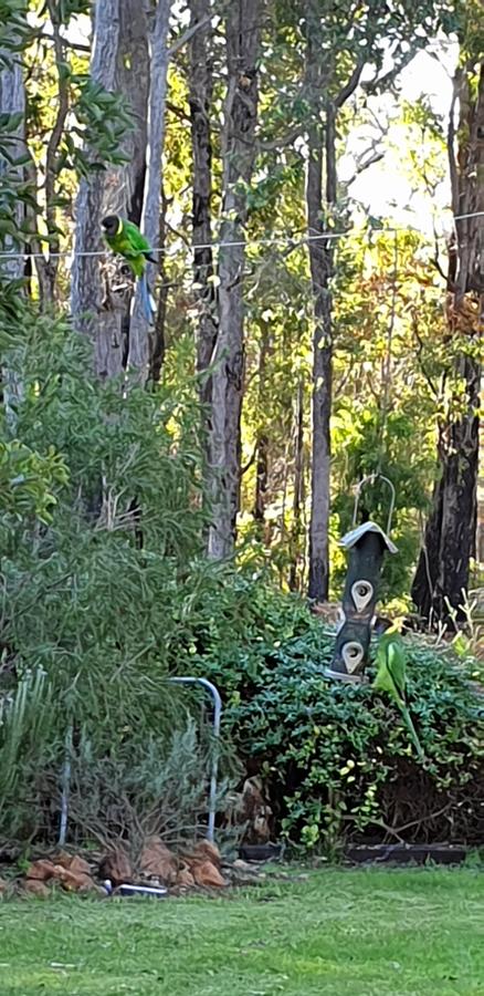 Di's Cabin In Dwellingup - Australia Shopping 6