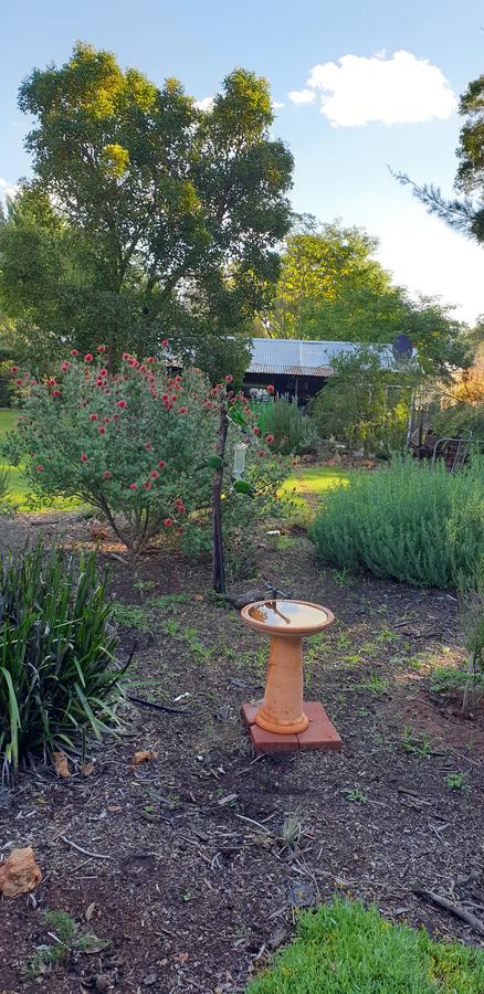 Di's Cabin In Dwellingup - Australia Shopping 14