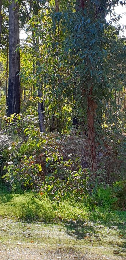 Di's Cabin In Dwellingup - Australia Shopping 8