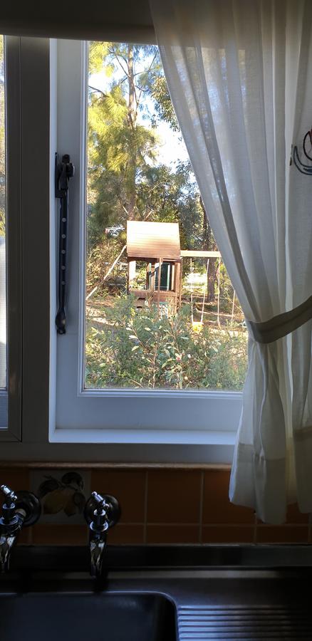 Di's Cabin In Dwellingup - Australia Shopping 15