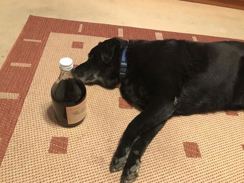 Busselton Guest House - Local Tourism 14