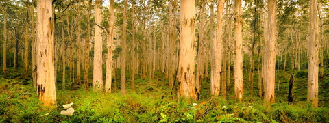 Indoyo Retreat - Accommodation Australia 34