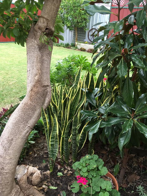 Bluebird Cottage - Local Tourism 30