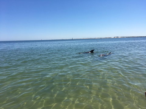 Bluebird Cottage - Local Tourism 39