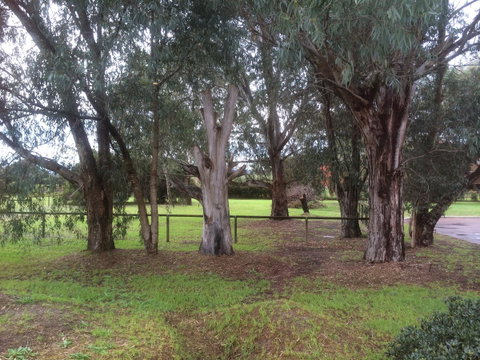 Nivalis Bed And Breakfast - Accommodation Australia 29