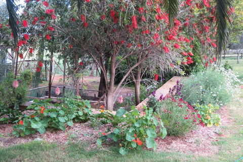 Bentwood Olive Grove Accommodation - Accommodation Australia 21