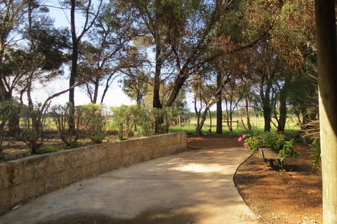 Bentwood Olive Grove Accommodation - Accommodation Australia 2