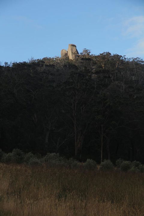 Tanen Farm - Accommodation Australia 9