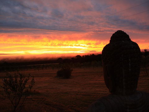 Tanen Farm - Accommodation Australia 12