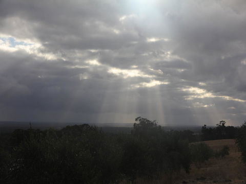 Tanen Farm - Accommodation Australia 13