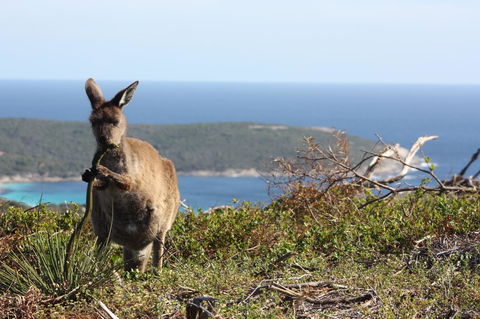 Bremer Bay B&B - Accommodation Australia 30